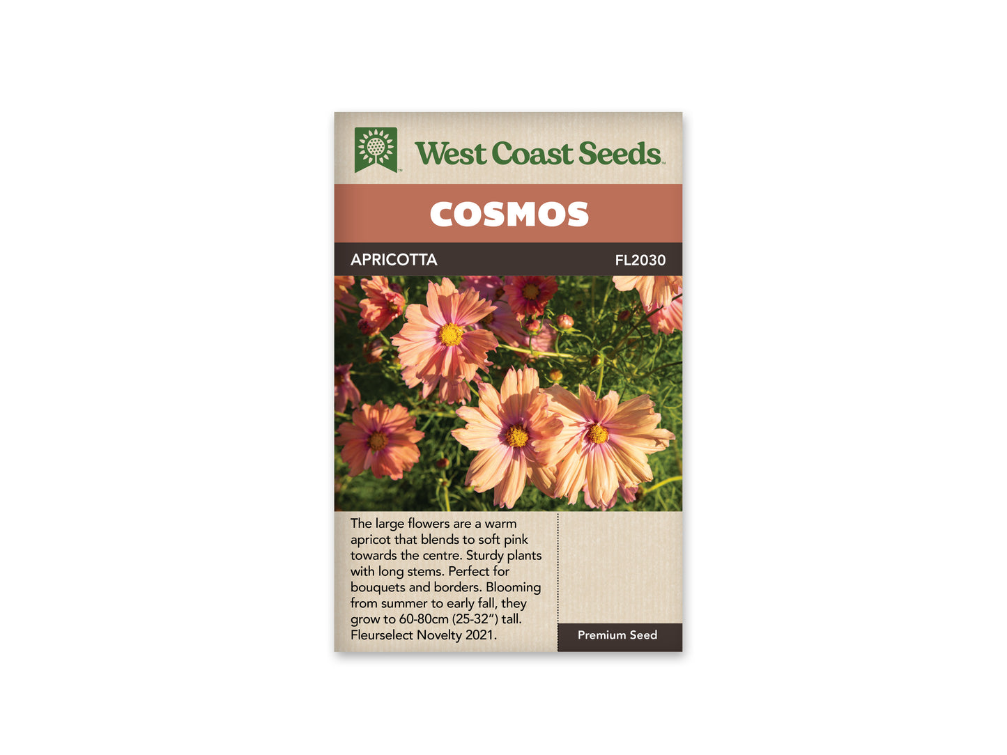Cosmos “Apricotta” West Coast Seeds