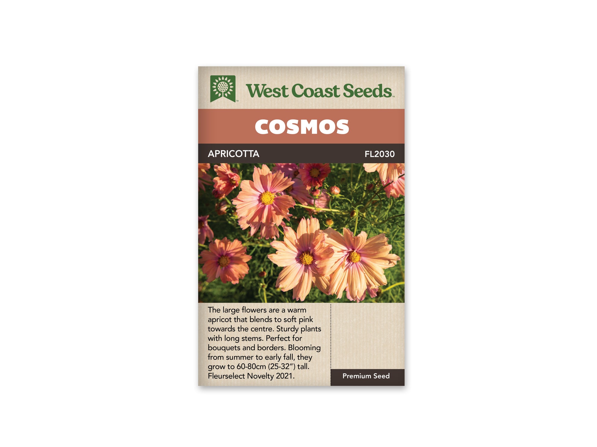 Cosmos “Apricotta” West Coast Seeds