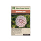 Didiscus “Lace Pink” West Coast Seeds