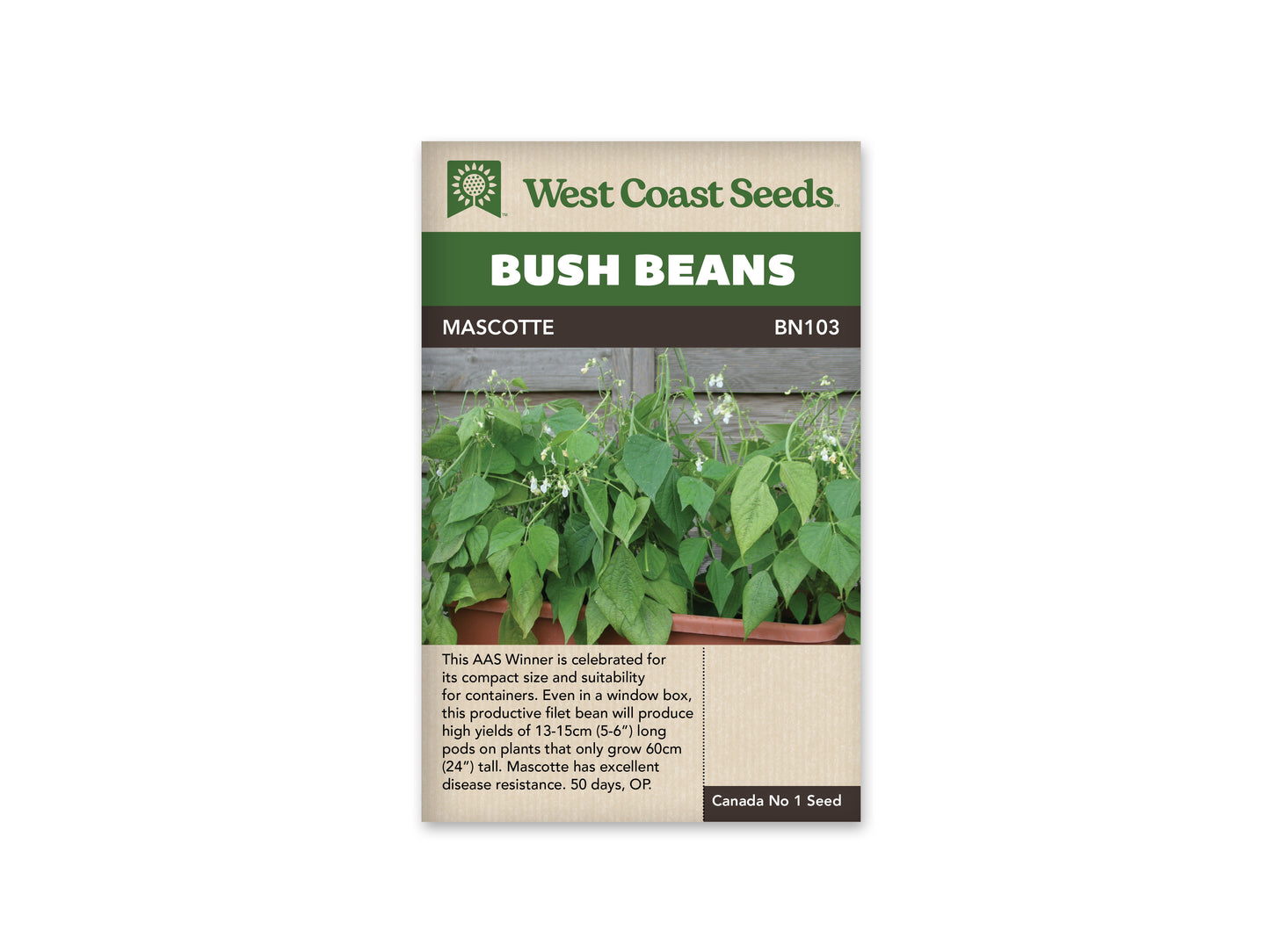 Beans “Mascotte” West Coast Seeds