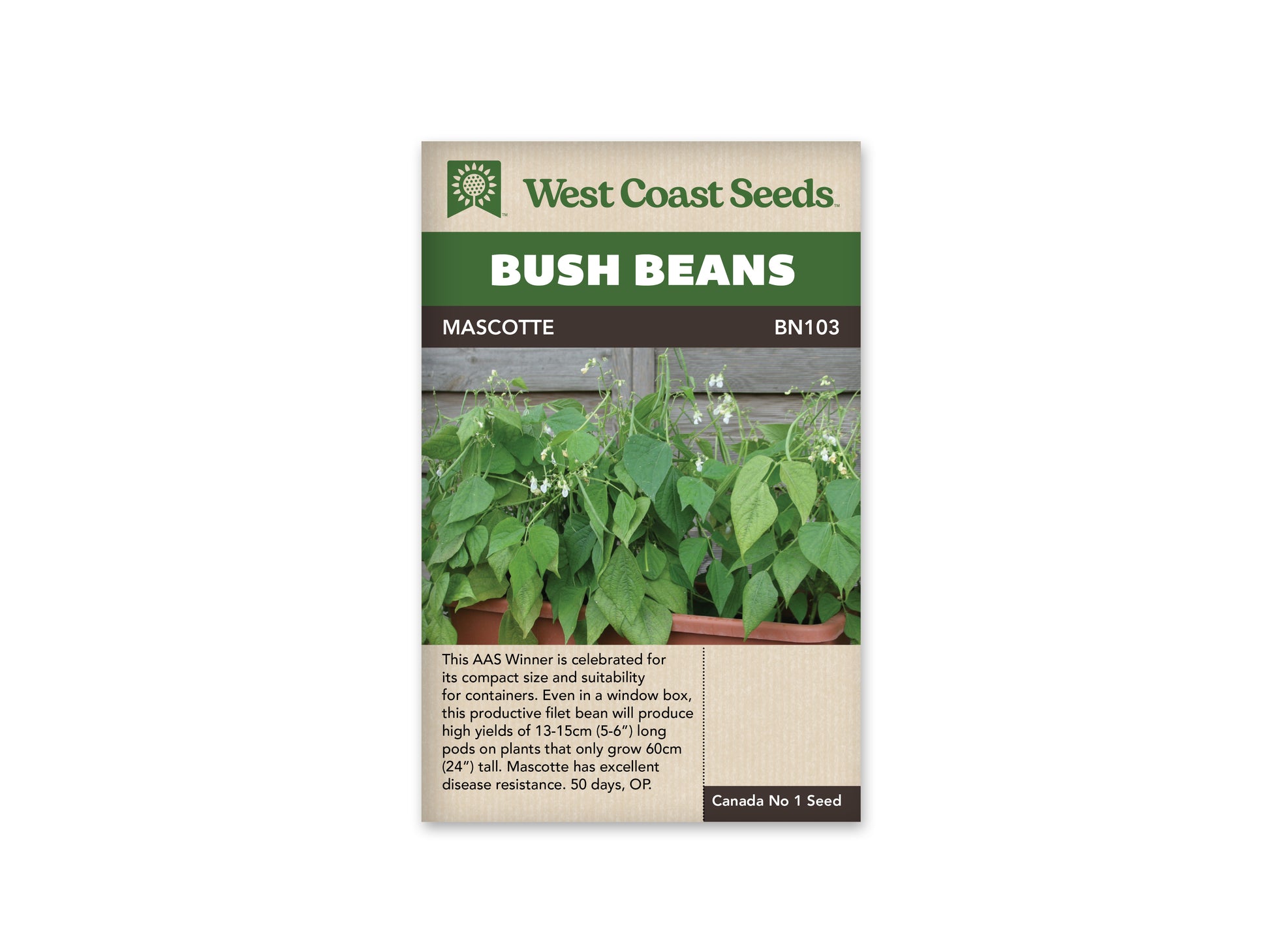 Beans “Mascotte” West Coast Seeds