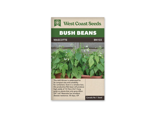 Beans “Mascotte” West Coast Seeds