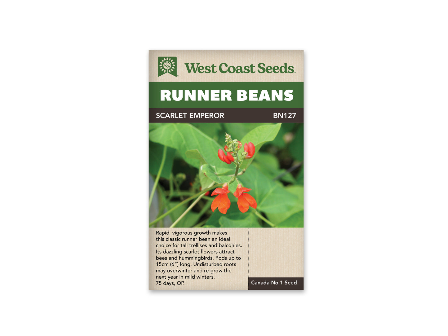 Beans "Scarlet Emperor" West Coast Seeds