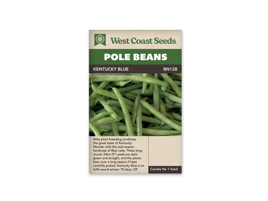 Beans "Kentucky Blue" West Coast Seeds