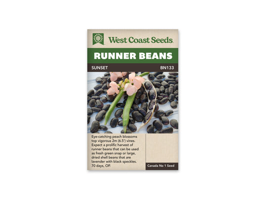 Beans “Sunset” West Coast Seeds