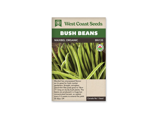 Beans “Maxibel Filet Organic” West Coast Seeds