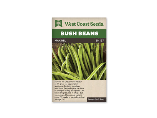 Beans "Maxibel Filet" West Coast Seeds