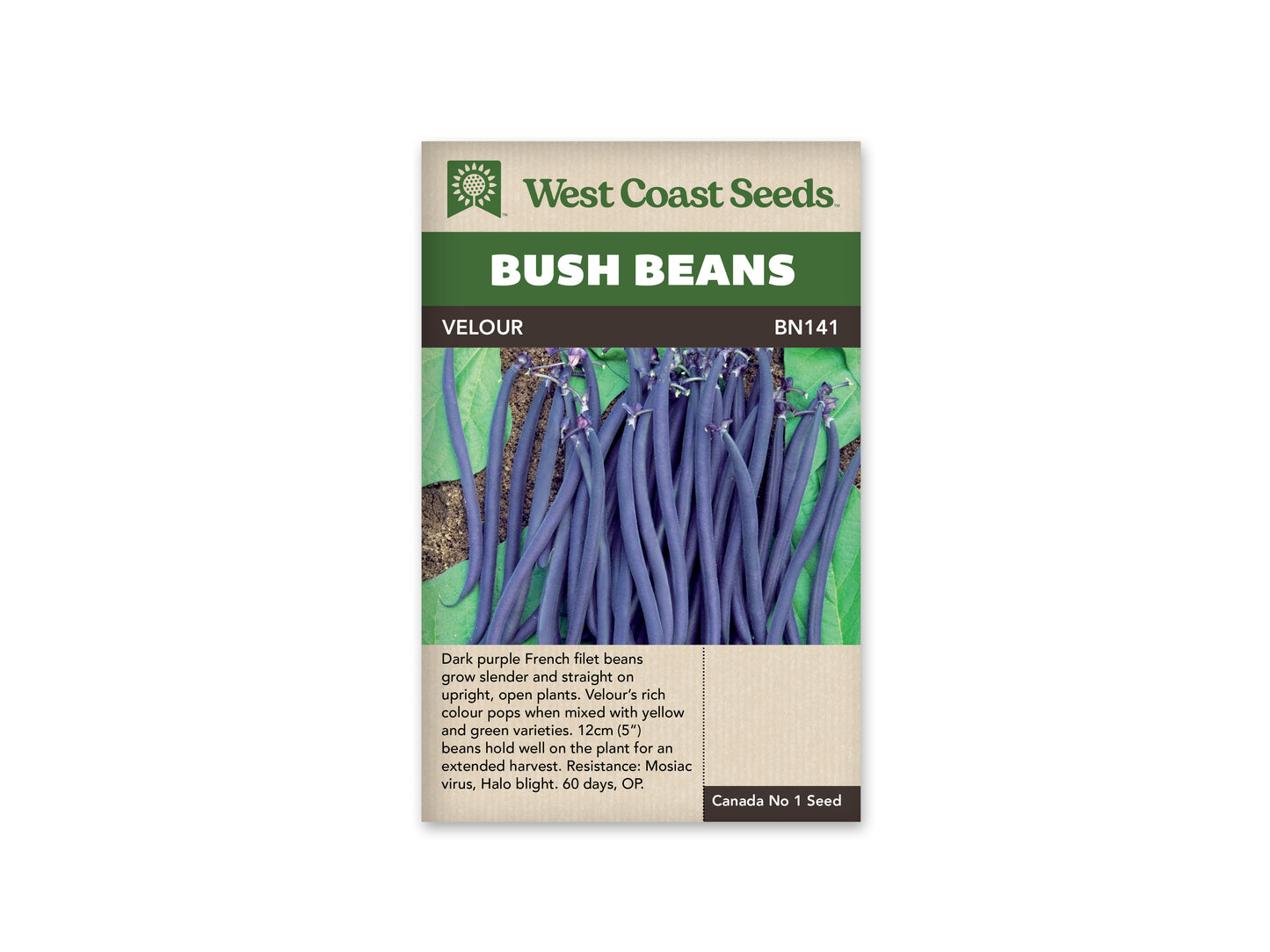 Beans "Velour" West Coast Seeds
