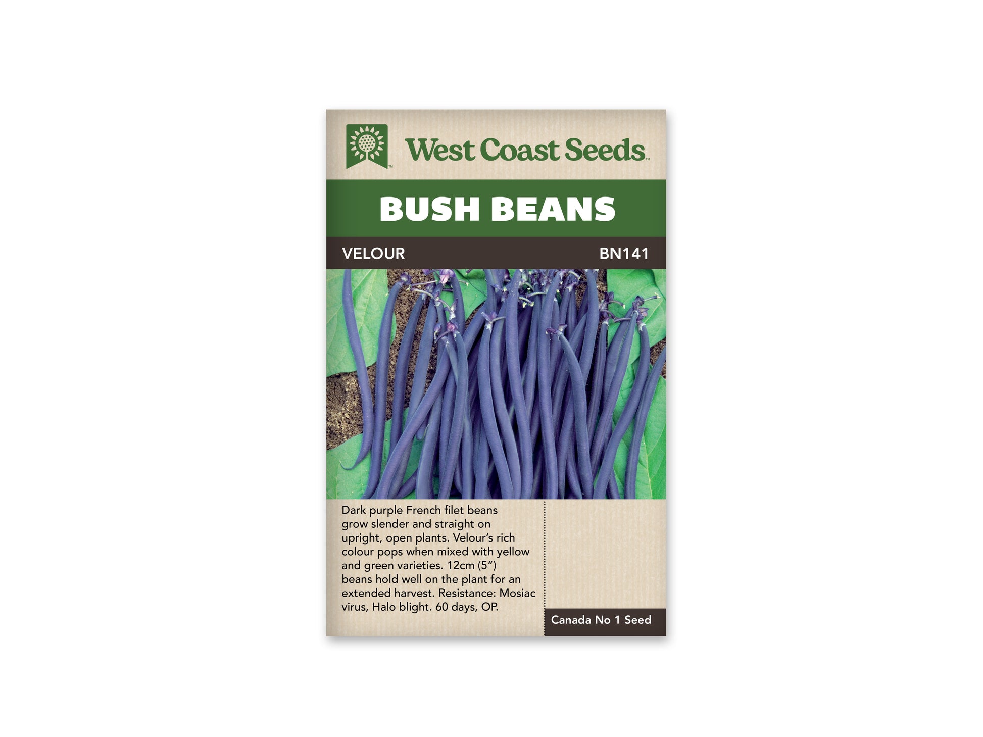 Beans "Velour" West Coast Seeds