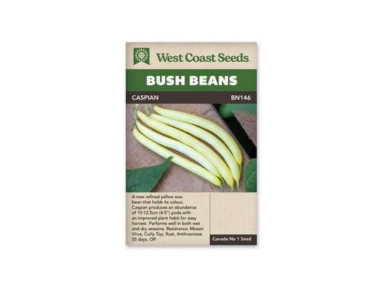 Beans "Caspian" West Coast Seeds