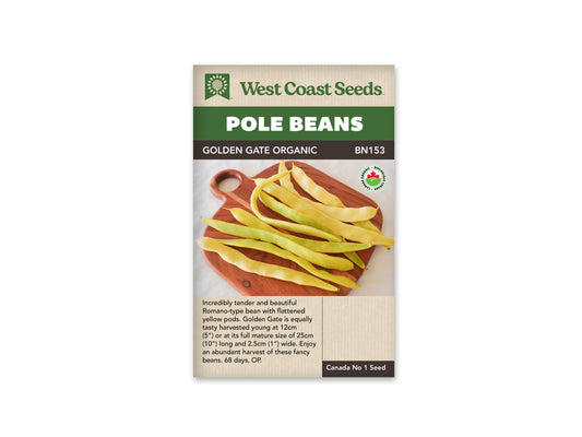 Beans “Golden Gate Organic” West Coast Seeds
