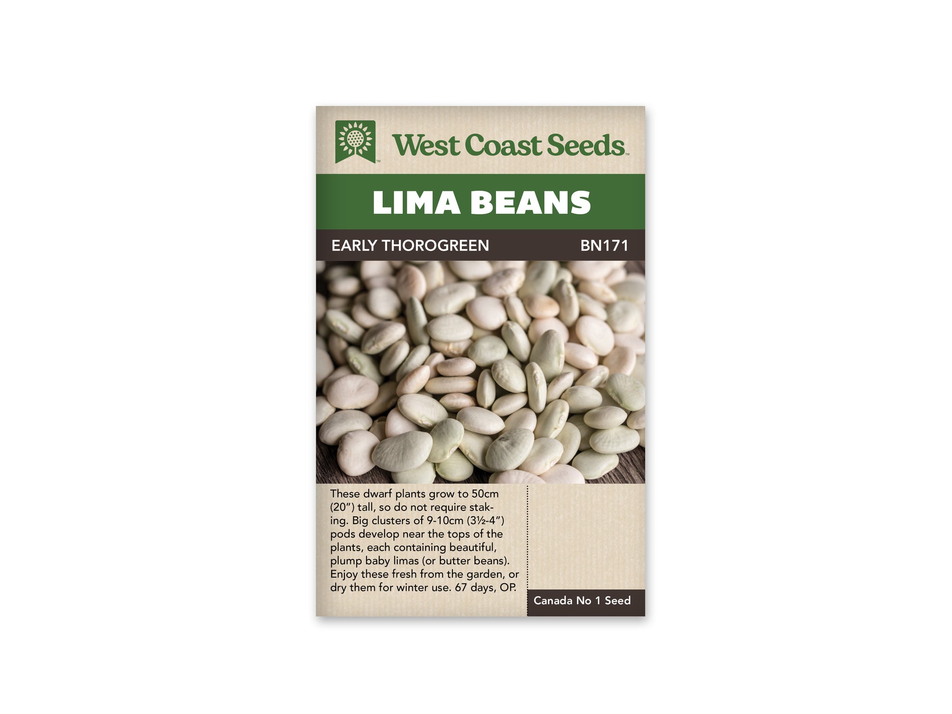 Beans "Early Thorogreen Lima" West Coast Seeds