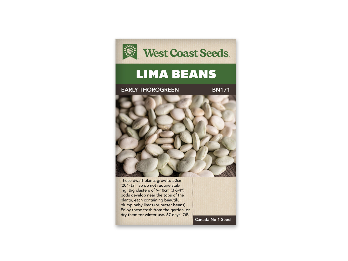 Beans "Early Thorogreen Lima" West Coast Seeds