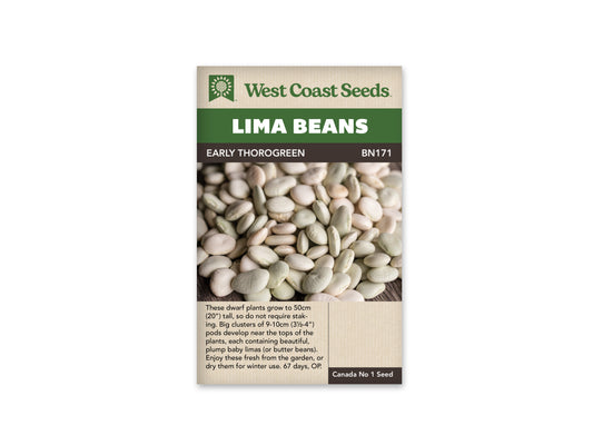 Beans "Early Thorogreen Lima" West Coast Seeds