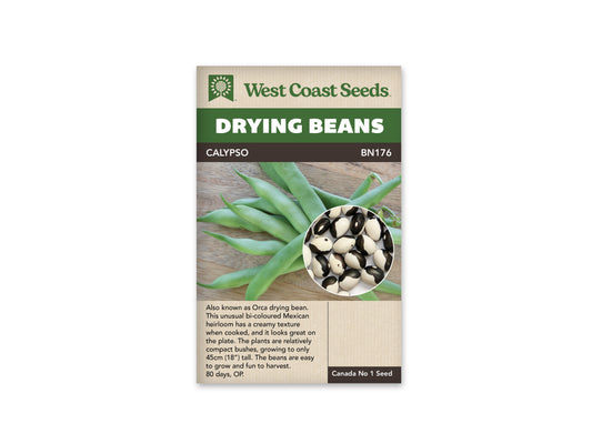 Beans "Calypso" West Coast Seeds