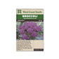Broccoli "Burgundy F1" West Coast Seeds