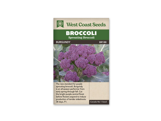 Broccoli "Burgundy F1" West Coast Seeds