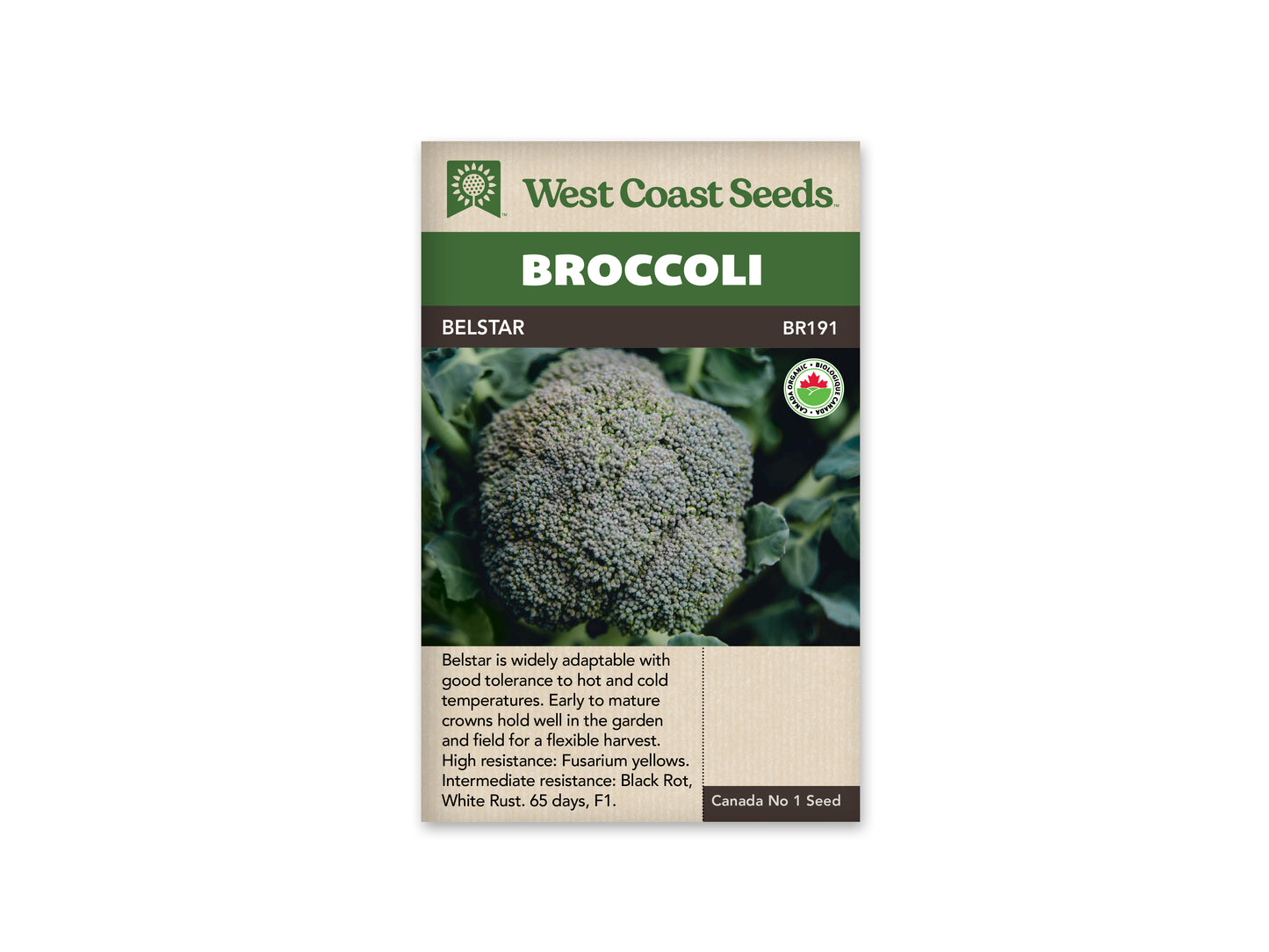 Broccoli “Belstar F1 Organic” West Coast Seeds