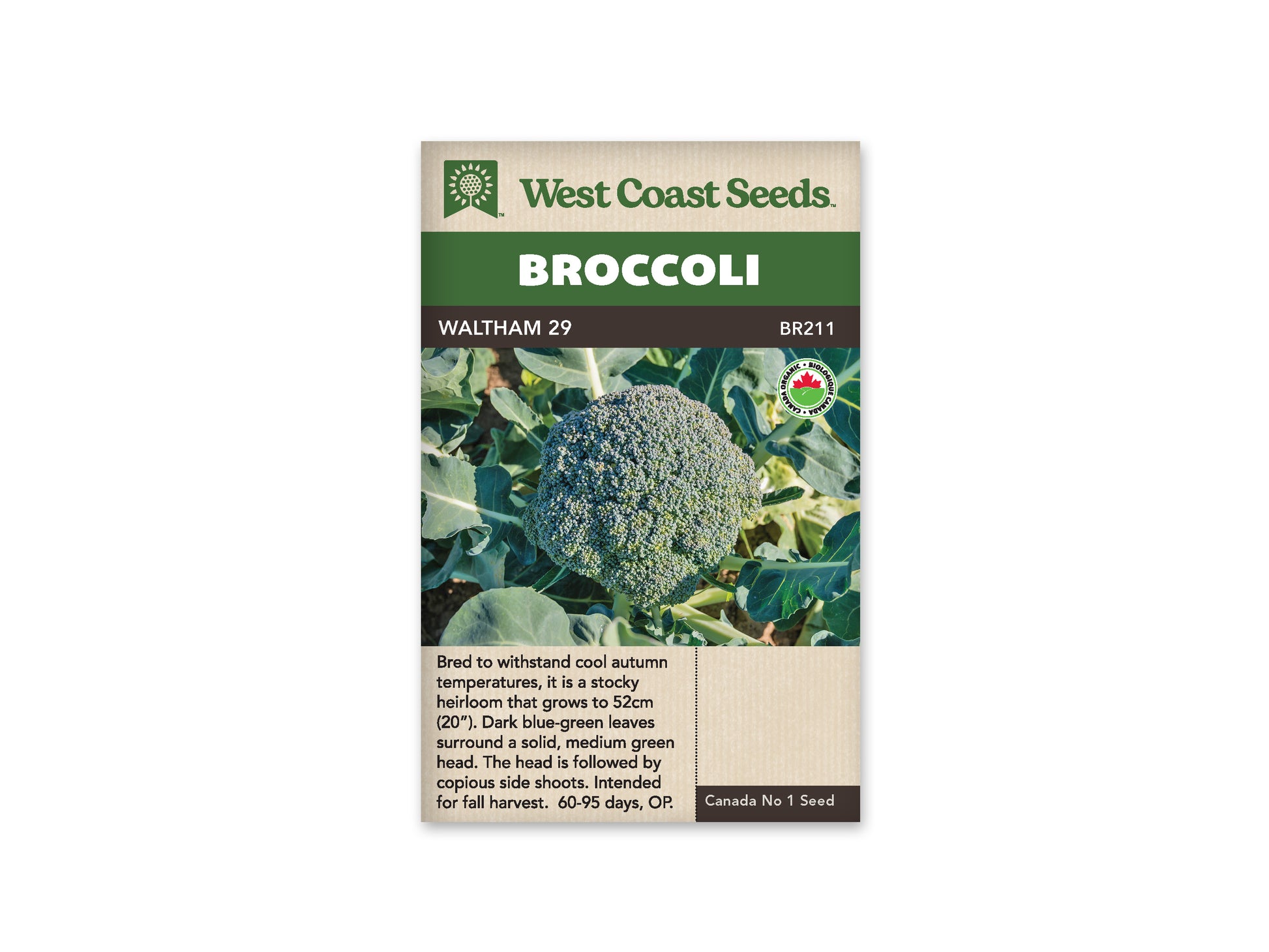 Broccoli “Waltham 29 Organic” West Coast Seeds