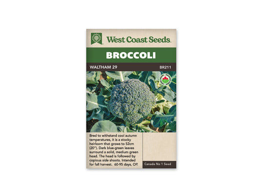 Broccoli “Waltham 29 Organic” West Coast Seeds