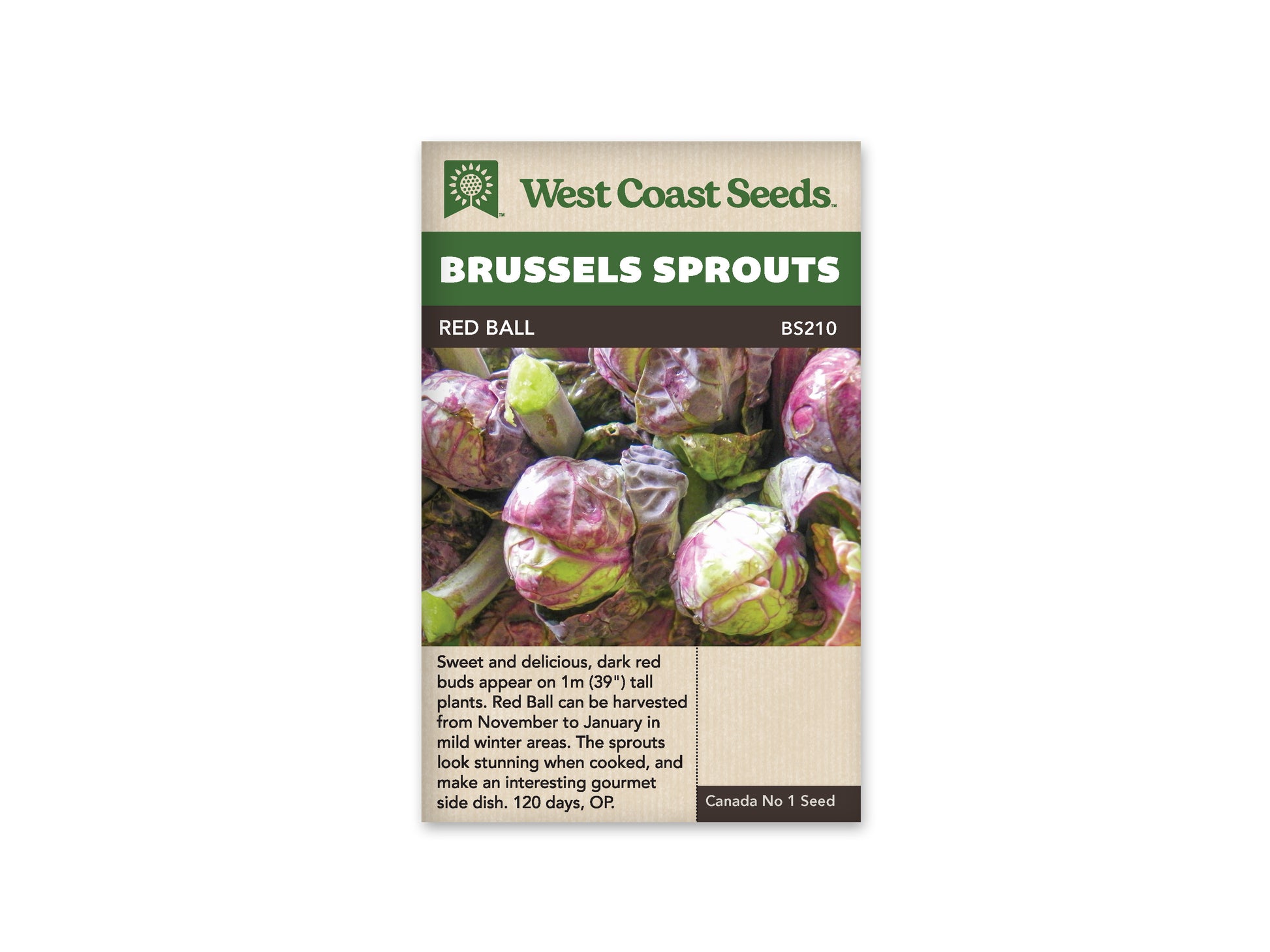 Brussel Sprouts "Red Ball" West Coast Seeds