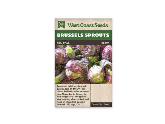Brussel Sprouts "Red Ball" West Coast Seeds