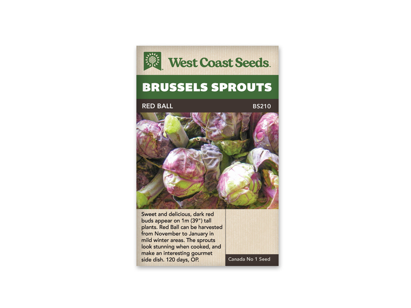 Brussel Sprouts "Red Ball" West Coast Seeds