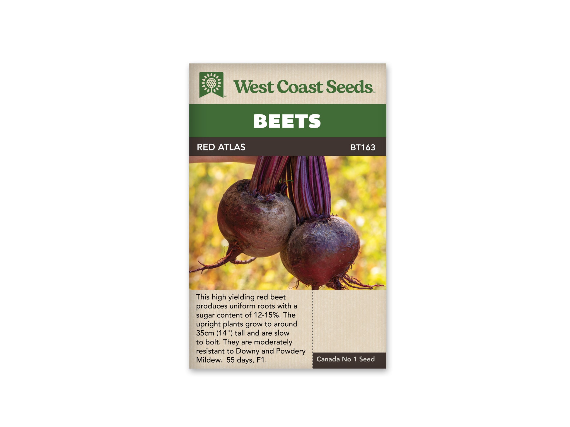 Beets "Red Atlas F1" West Coast Seeds