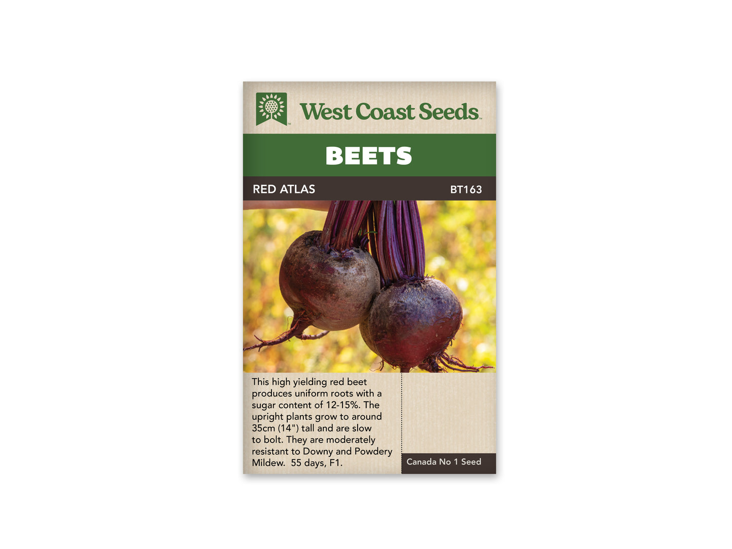 Beets "Red Atlas F1" West Coast Seeds