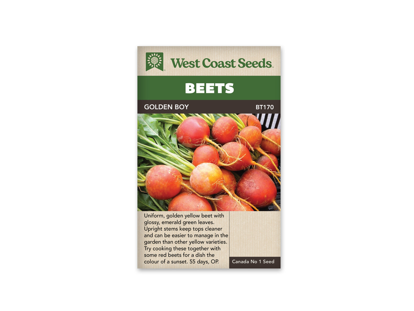 Beets “Golden Boy” West Coast Seeds