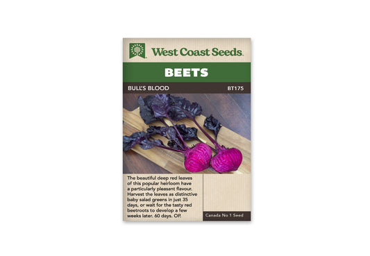 Beets "Bull's Blood" West Coast Seeds