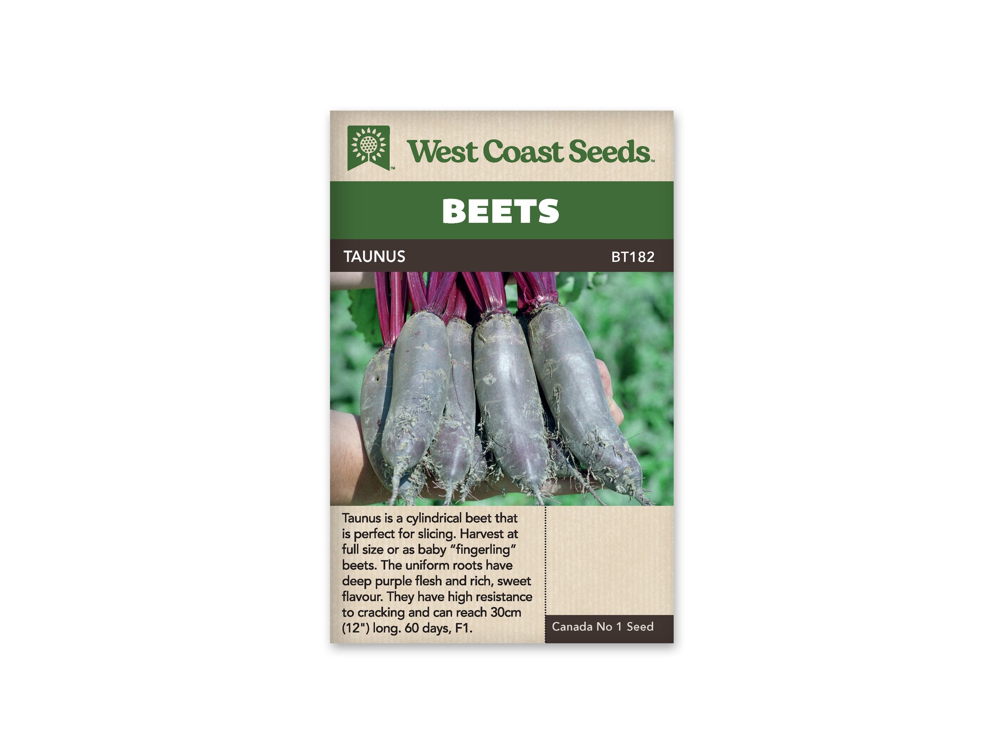 Beets "Taunus F1 Coated" West Coast Seeds