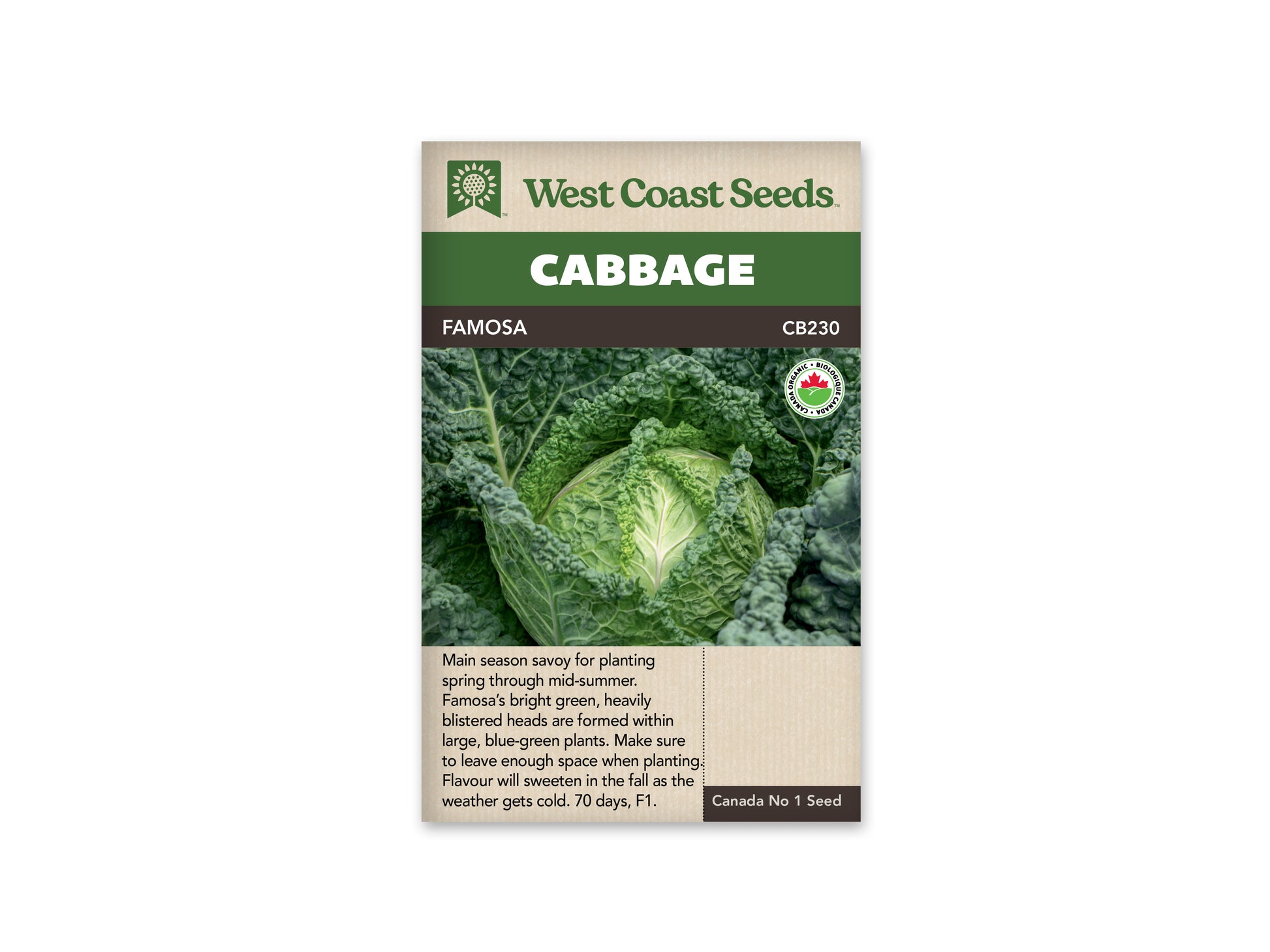 Cabbage "Famosa F1 Organic" West Coast Seeds