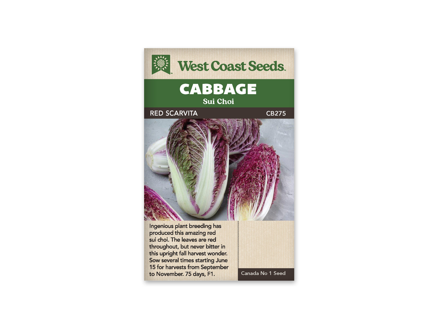 Cabbage "Red Scarvita F1" West Coast Seeds