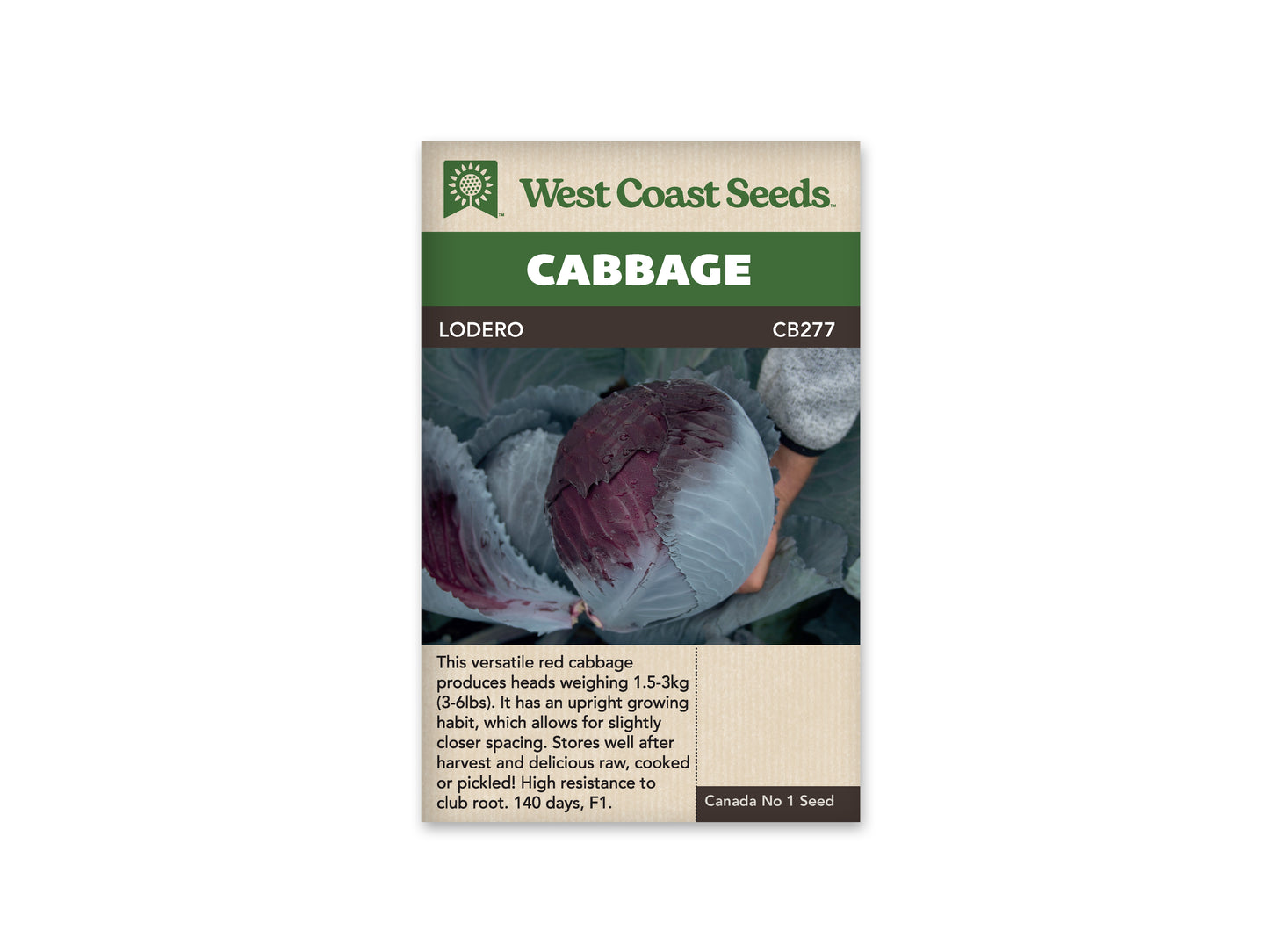 Cabbage “Lodero F1” West Coast Seeds