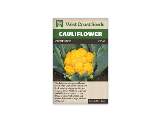 Cauliflower “Clementine F1” West Coast Seeds