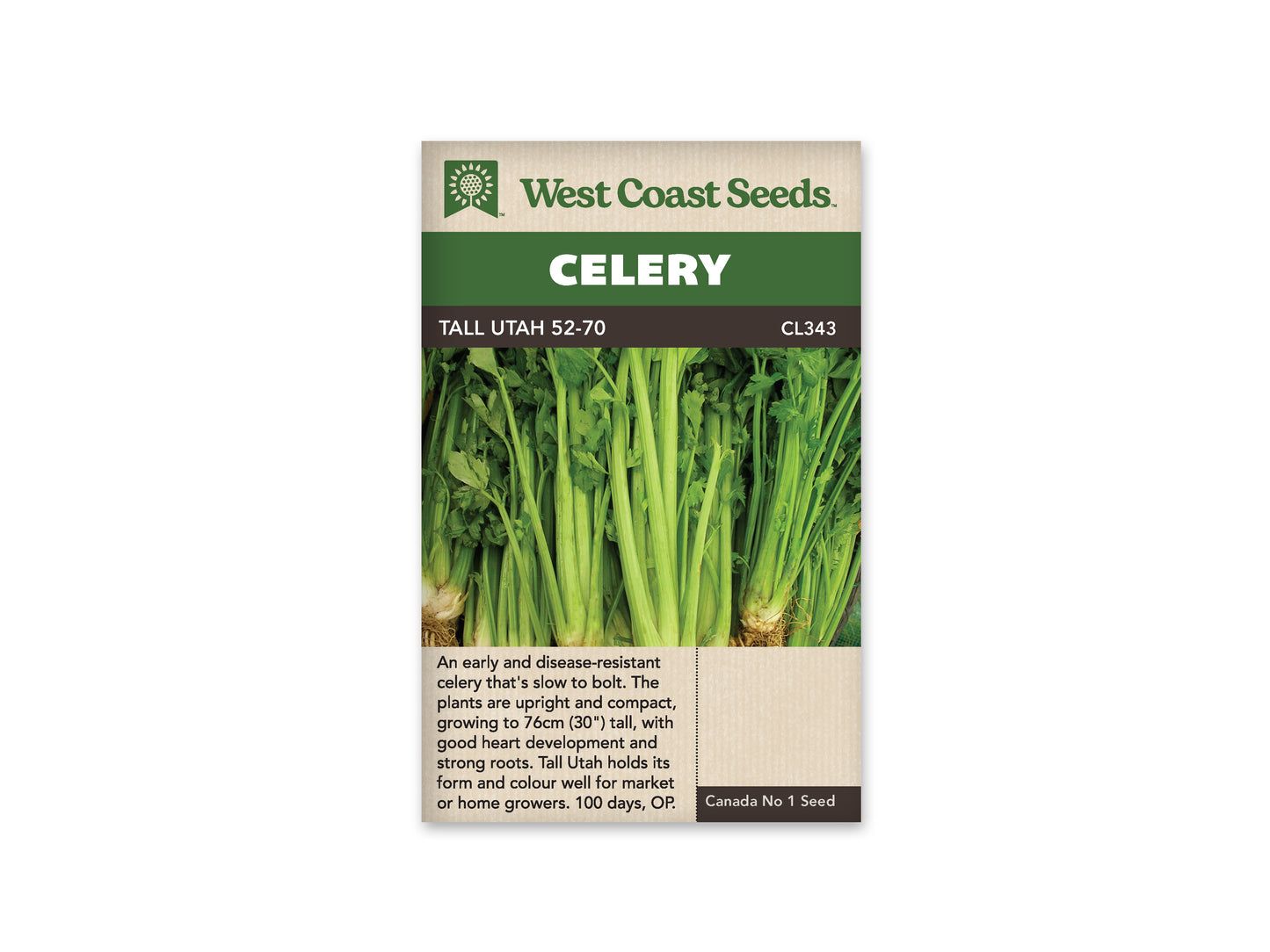 Celery "Tall Utah 52-70" West Coast Seeds