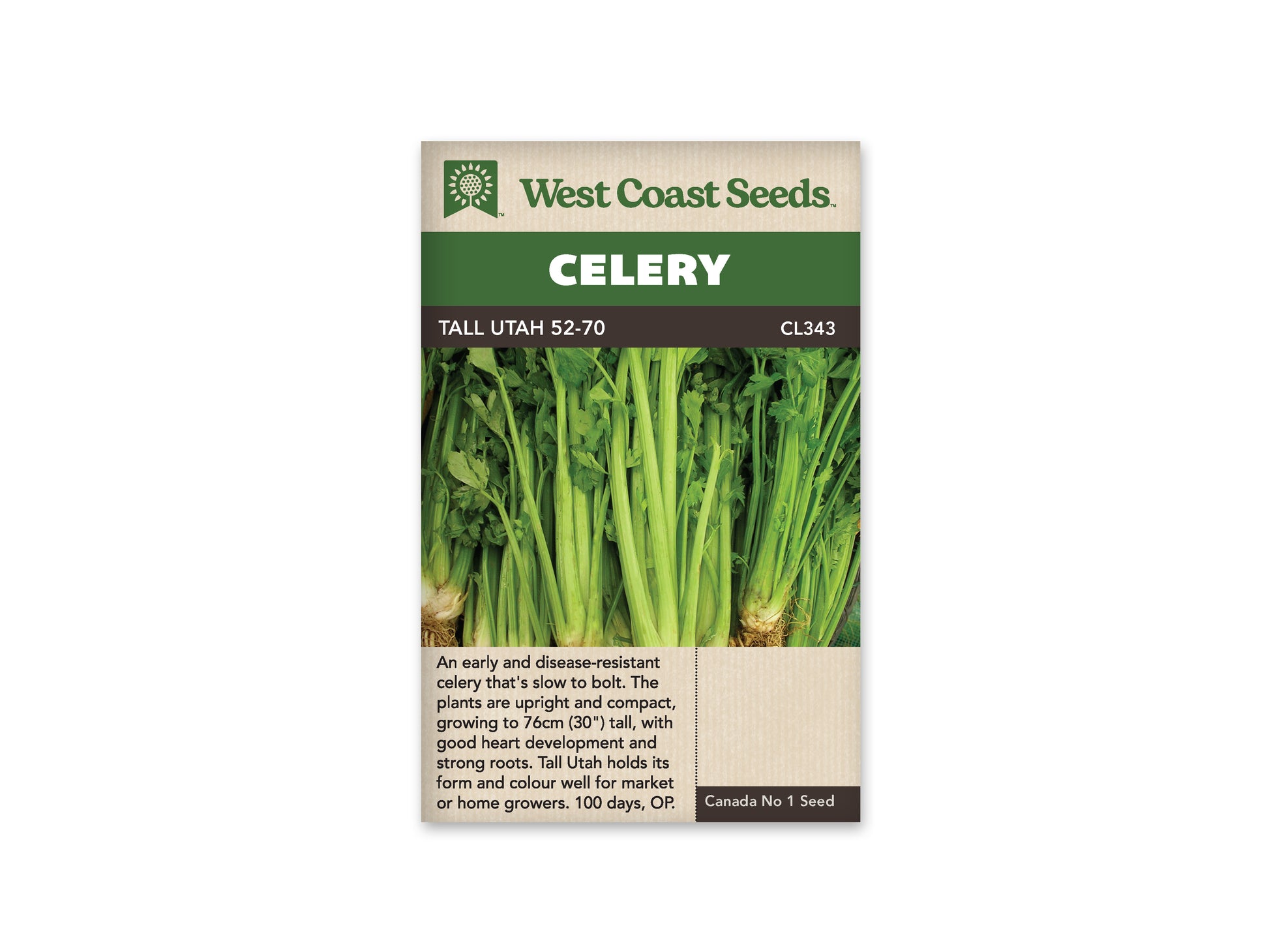 Celery "Tall Utah 52-70" West Coast Seeds