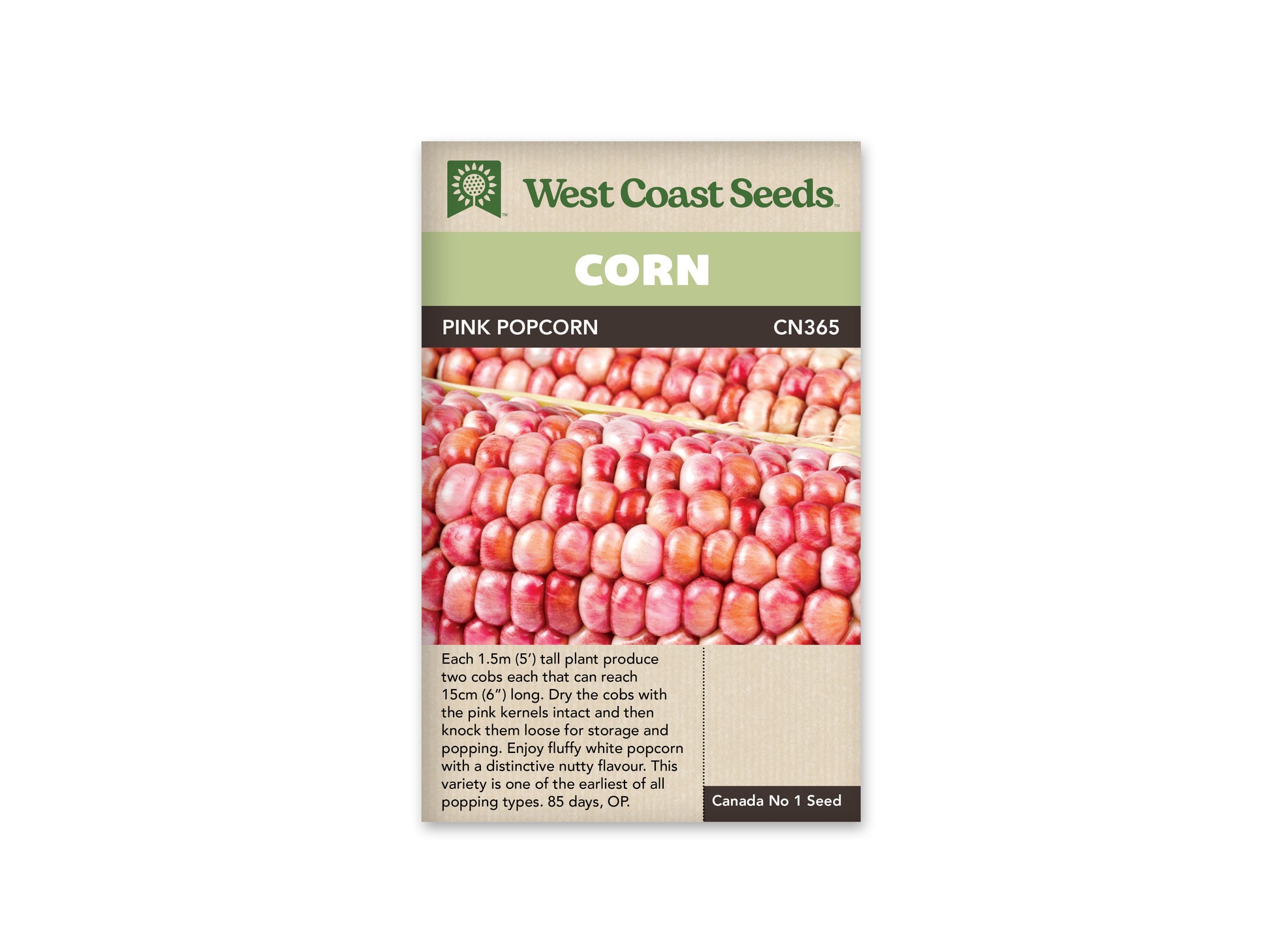 Corn “Pink Popcorn” West Coast Seeds