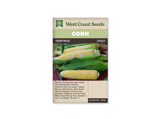 Corn "Temptress F1" West Coast Seeds