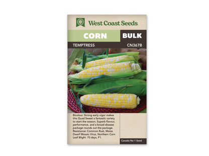 Corn “Temptress F1” West Coast Seeds