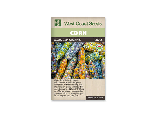 Corn "Glass Gem Organic" West Coast Seeds
