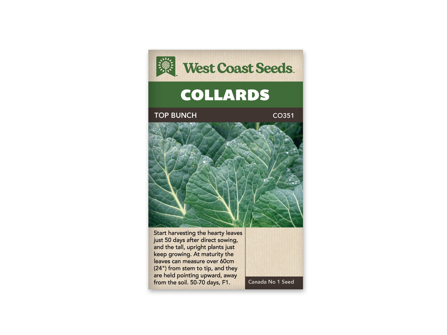 Collards "Top Bunch 2.0 F1" West Coast Seeds