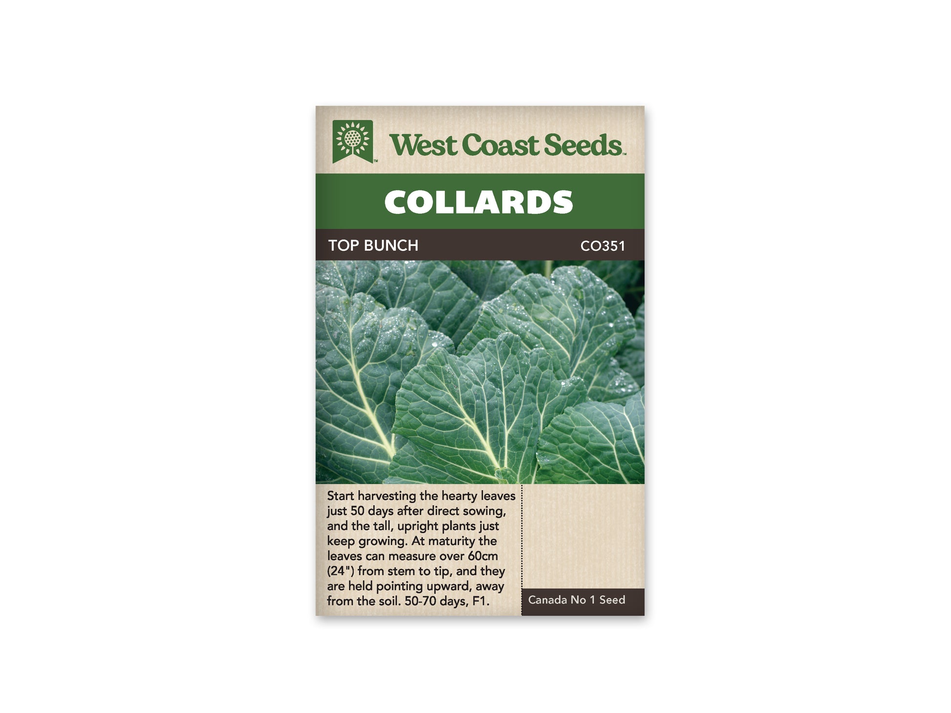 Collards "Top Bunch 2.0 F1" West Coast Seeds