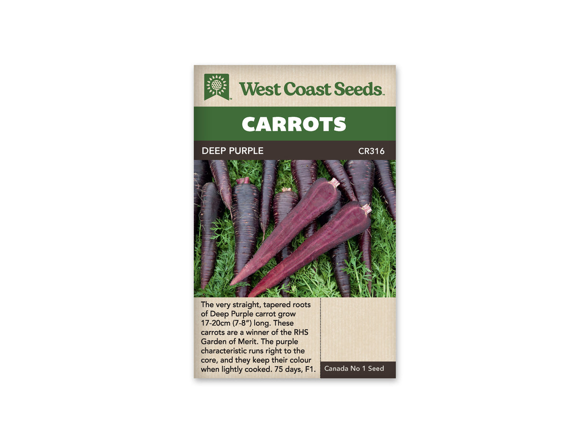 Carrots “Deep Purple F1 Coated” West Coast Seeds