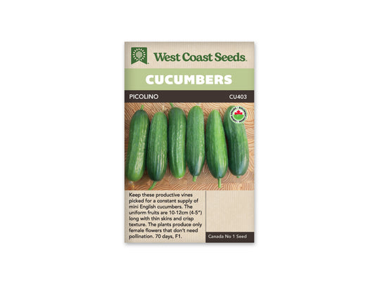 Cucumbers “Picolino F1 Organic” West Coast Seeds