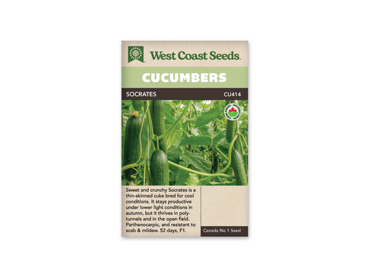 Cucumbers “Socrates F1 Organic” West Coast Seeds