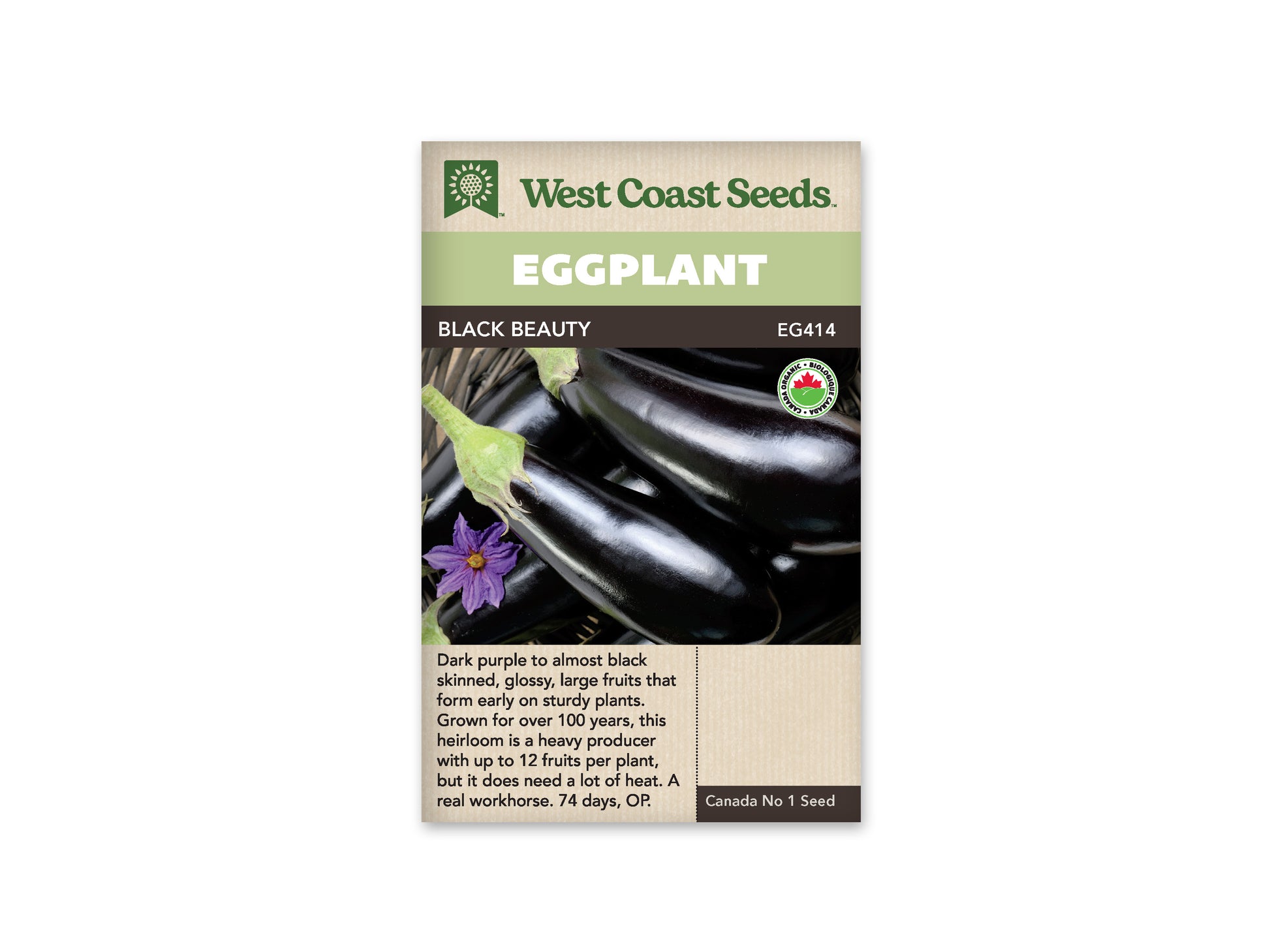 Eggplant "Black Beauty Organic" West Coast Seeds