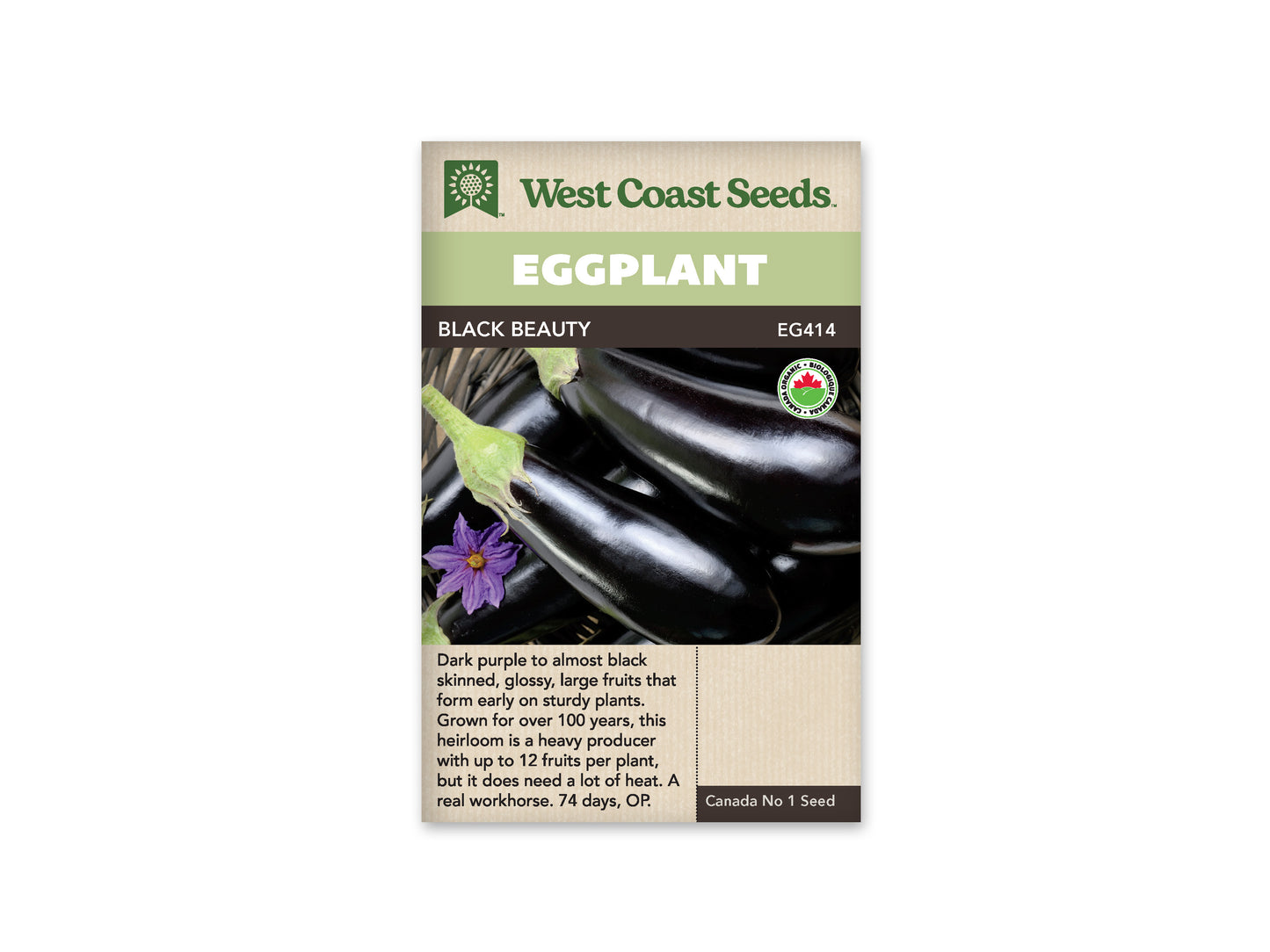 Eggplant "Black Beauty Organic" West Coast Seeds