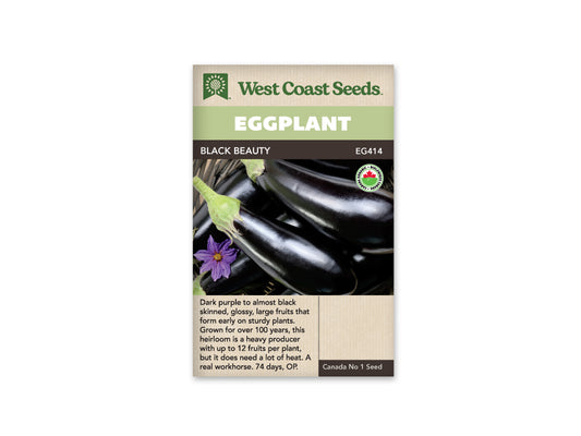 Eggplant "Black Beauty Organic" West Coast Seeds